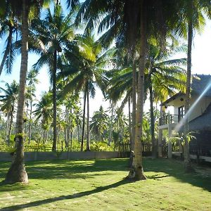 Buddha Resort